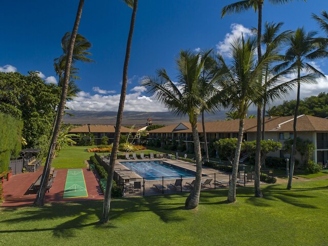 ワイオフリ ビーチ ハレ C212