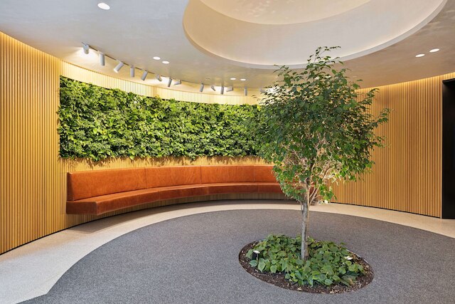 プレイスメーカー バザード ポイント