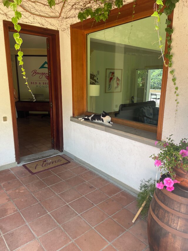 ブーゲンビル ホーム モンデッロ