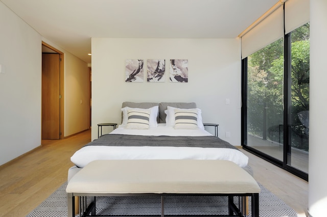 サルティーヨ 85