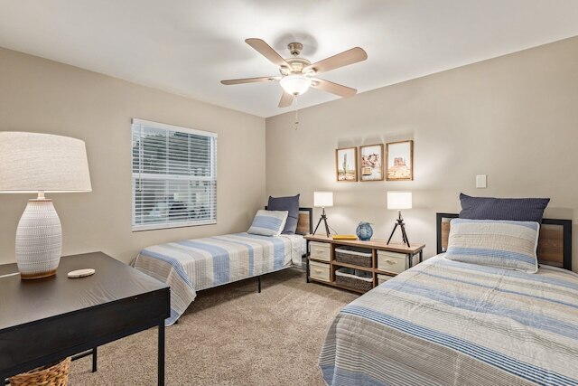 ペッパー コンプレックス メサ