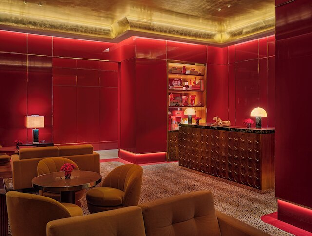 ファエナ ニューヨーク