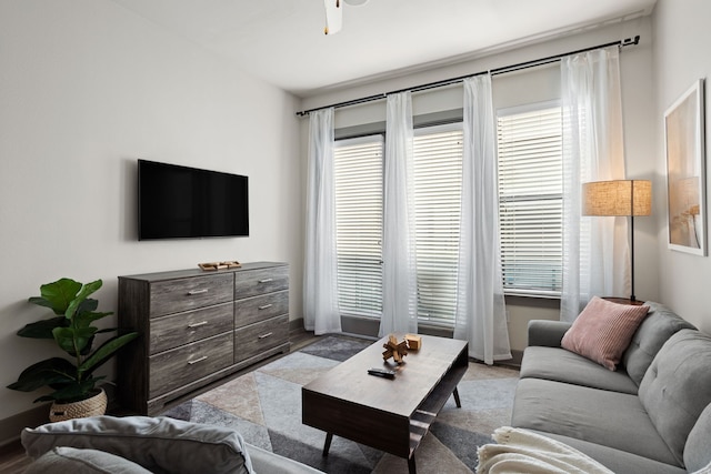 ホワイト ロック レイクウッド ハイダウェイ ペットフレンドリー プール