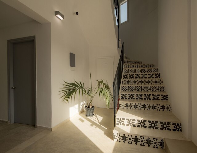 オリーブ グローブ スイーツ ブティック ホテル