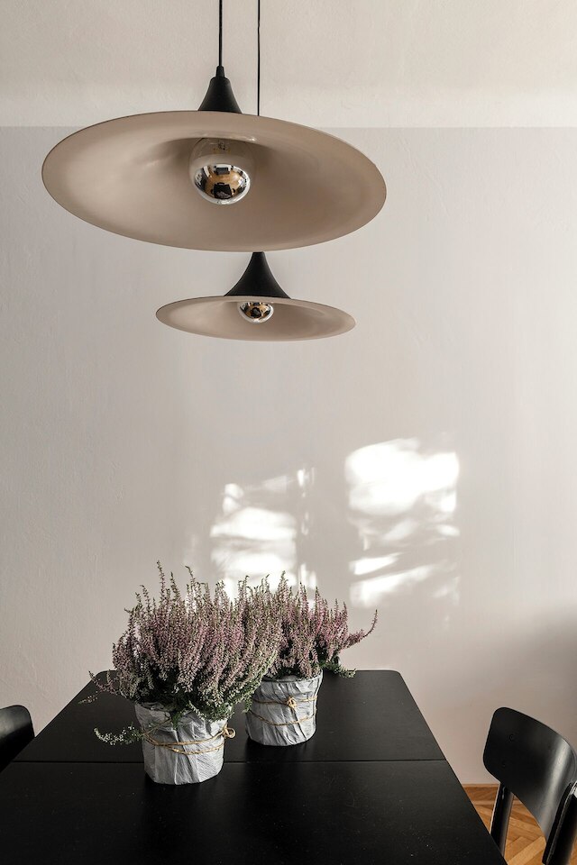 ショートステイポーランド ピウナ B79