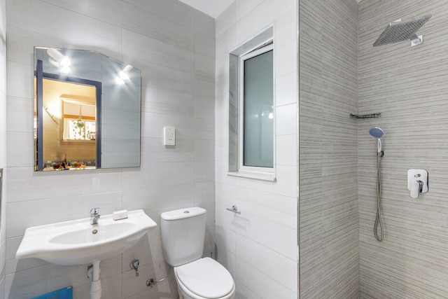 エグザイルズベイ - ステファネラ アパート 6