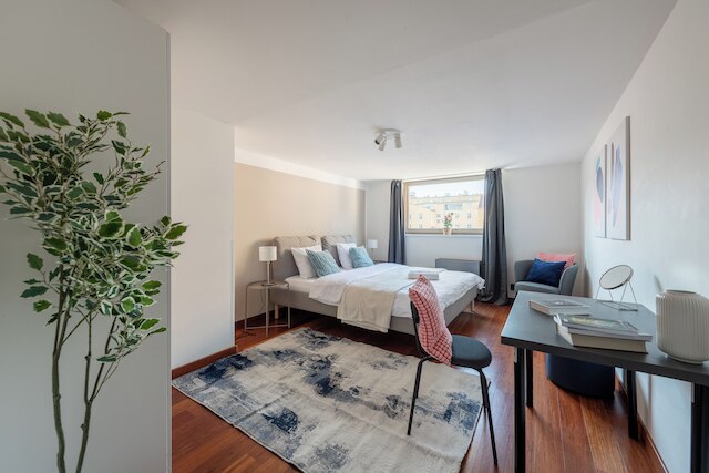 ラグジュアリー 5 ベッドルームズ アパート イン プラハ