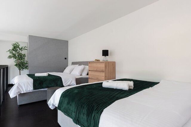 プラハの広々としたロフトアパート