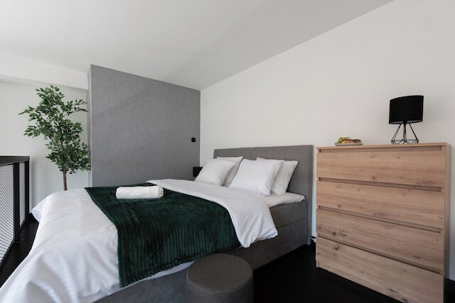 プラハの広々としたロフトアパート