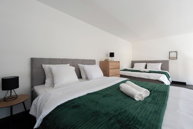 プラハの広々としたロフトアパート