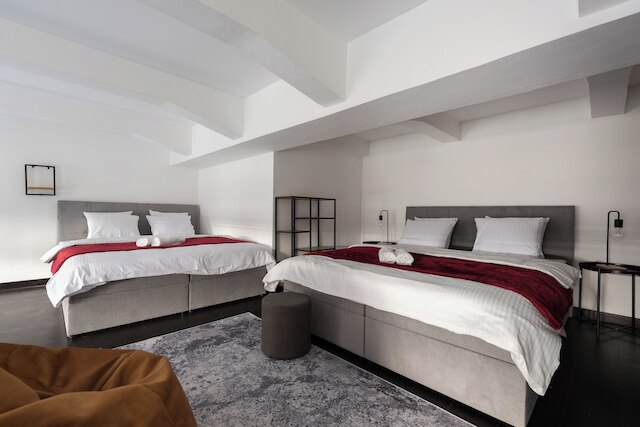 デュプレックス ロフト アパート ウィズ バルコニー