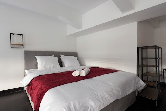 デュプレックス ロフト アパート ウィズ バルコニー