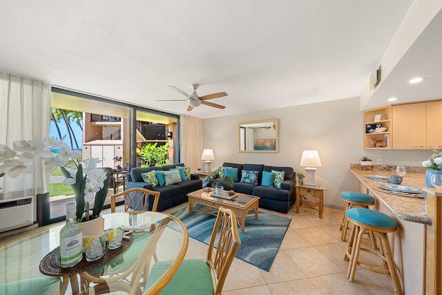 パパケア B110 イン ラハイナ