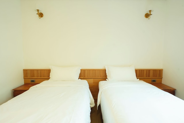 アソカ オテル ルアンプラバン