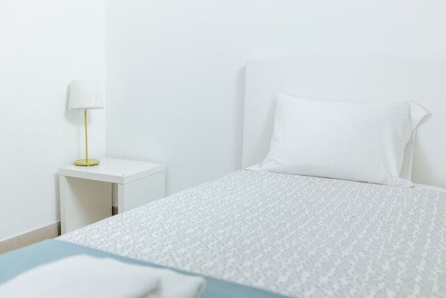 リスボン ダウンタウン アロイオス フラット 45