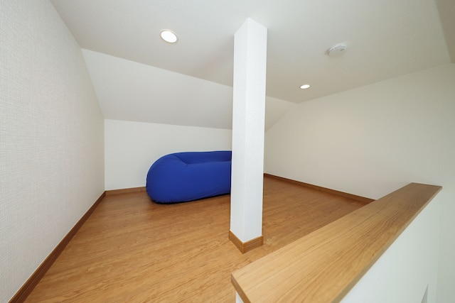 Zenith Garden TOGOSHI