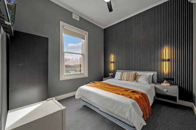 コンティニューム ショート ステイズ