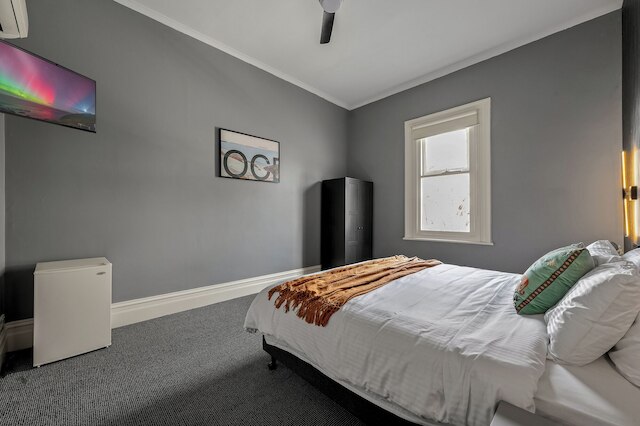 コンティニューム ショート ステイズ