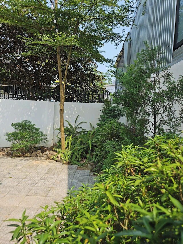 ミット ホームステイ