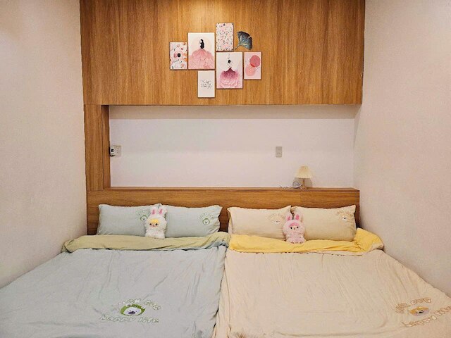 ミット ホームステイ