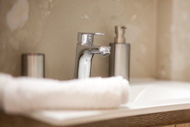 ザ アクロポリス エレネスト