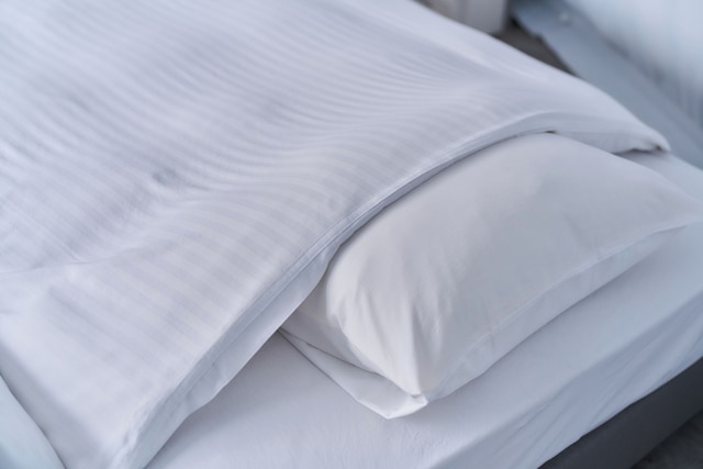 Mt FUJI Resort GLAMPING Yamanakako