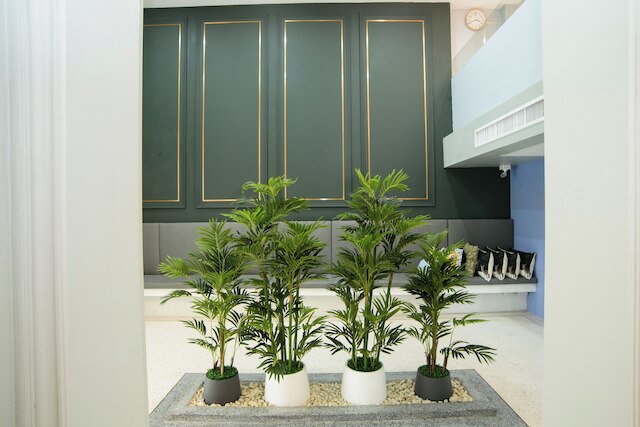 ミニ プルーム ミンブリ