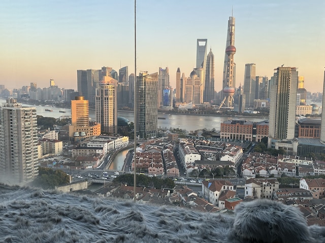 ZHome-Shanghai Shining River Apartment