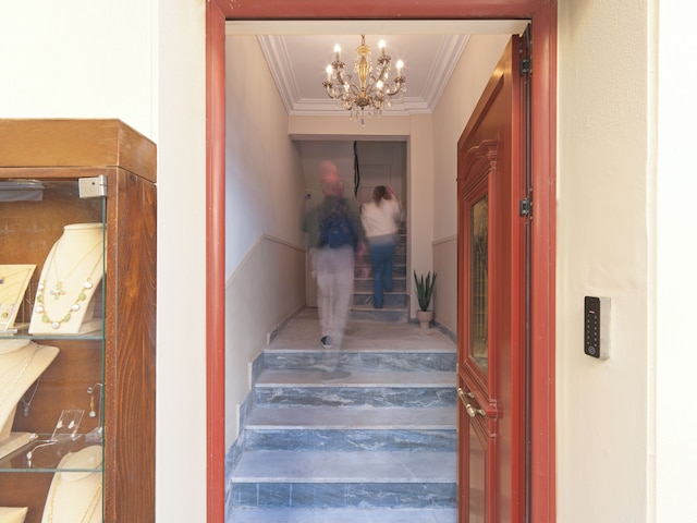 ニュー ジ アクロポリス ウィンドウ