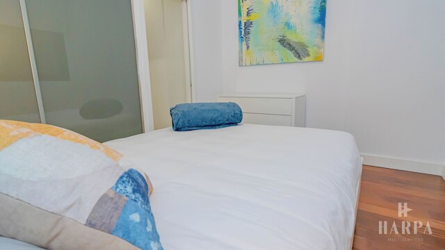 リベルタッド 24