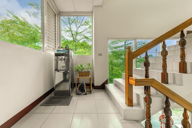 Taomi Mountain Lodge