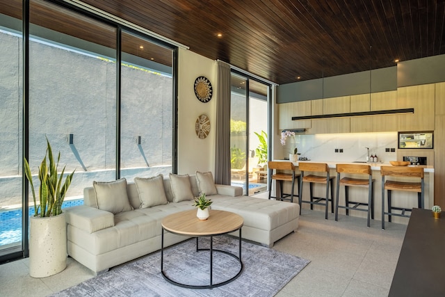 プライベート ヴィラ アイラ 9D 10 ミン メラスティ ビーチ