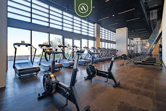 ビー グランド レフォルマ 3119