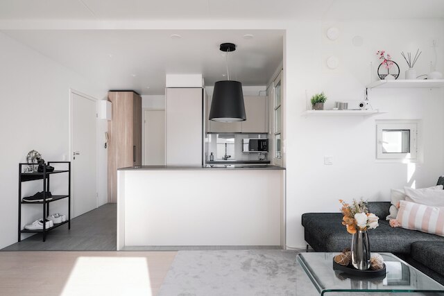 モダン 1ベッドルーム アパートメント ウィズ バルコニー