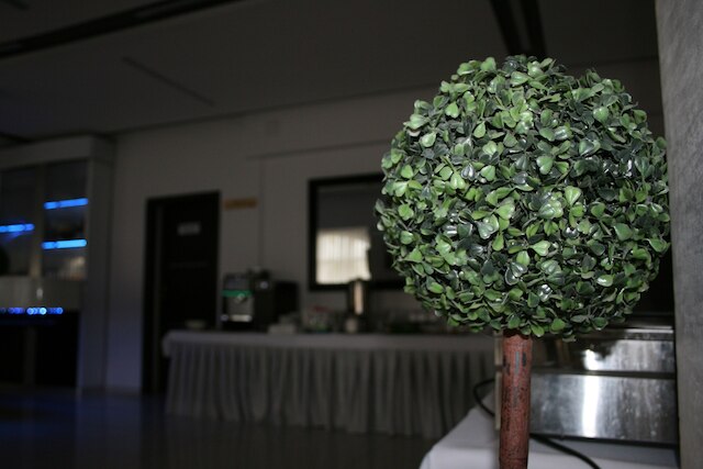 ホテル ジュニア 2