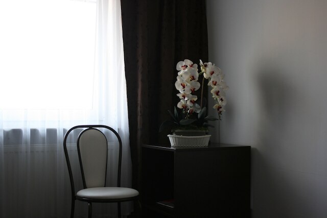 ホテル ジュニア 2