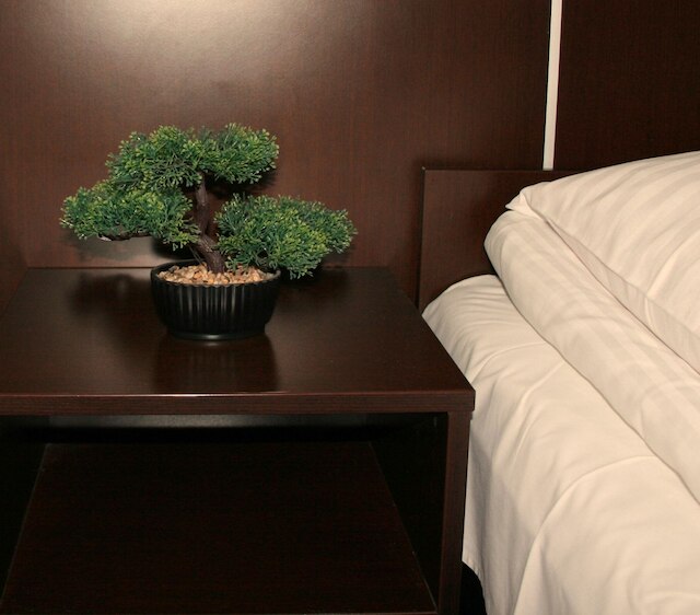 ホテル ジュニア 2