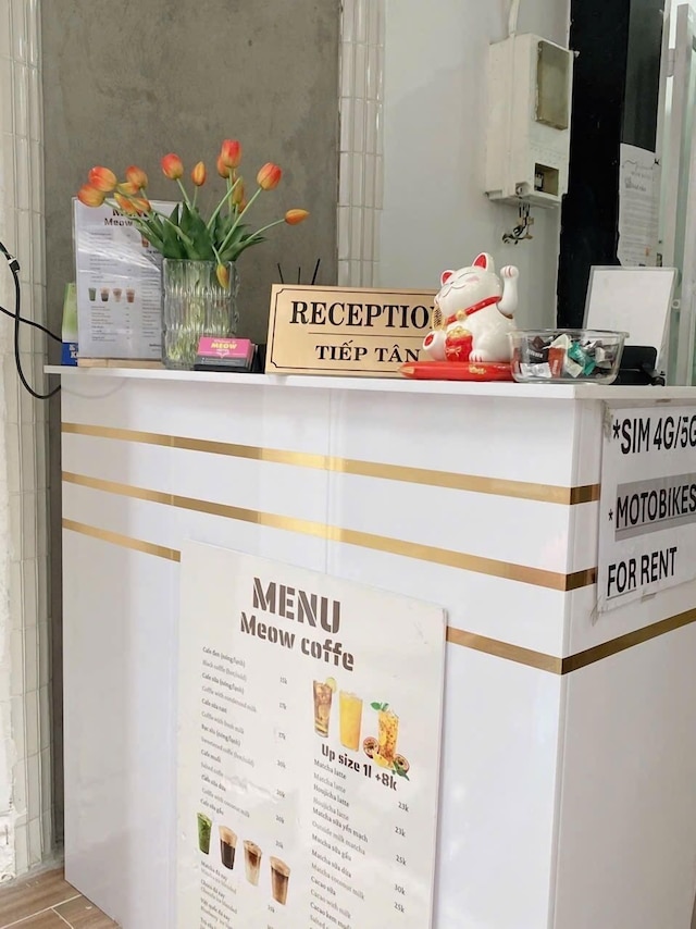 パパイヤ ホテル & カフェ 2