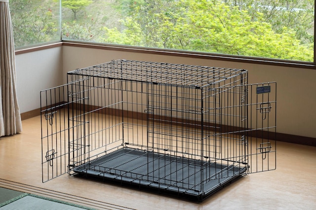 松阪わんわんパラダイス 森のホテルスメール