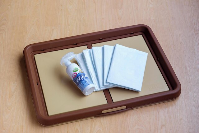 松阪わんわんパラダイス 森のホテルスメール