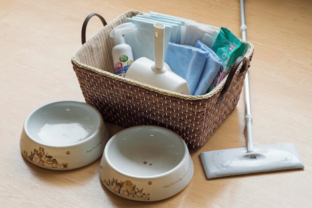 松阪わんわんパラダイス 森のホテルスメール