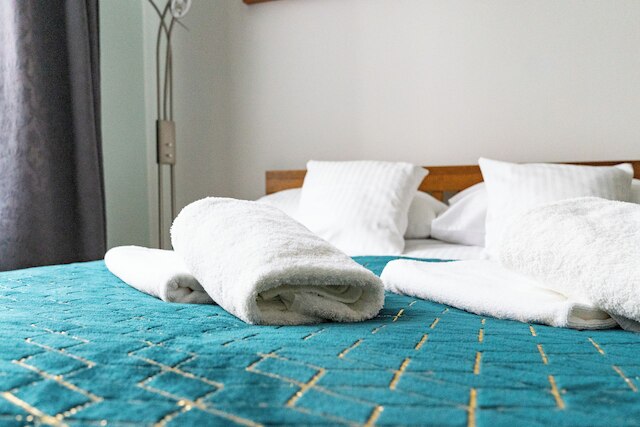 ラグジュアリー ヨーロピアン アパートメント