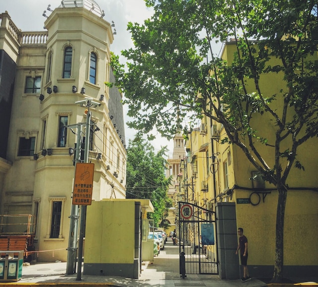 Shanghai Hills & Gefii Sixteen Cats close to Jing'an Temple