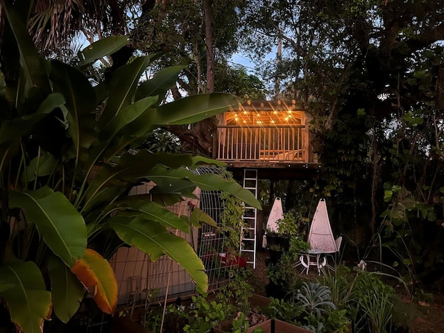 マイアミ プール コテージ イン エル ポータル