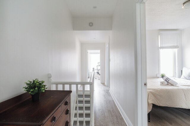 チャーミング ホーム イン リトル ポルトガル