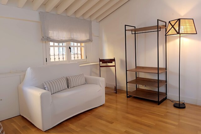 エクスクルーシブ ハウス イン セビリア。アントニア ディアス