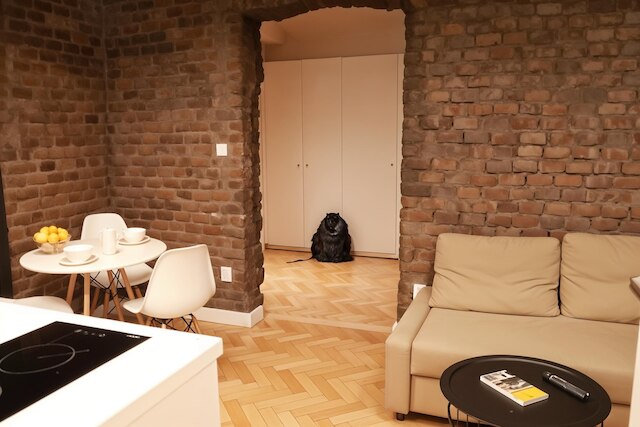 クラクフ ファンシー ブリック #4 - オールドタウン