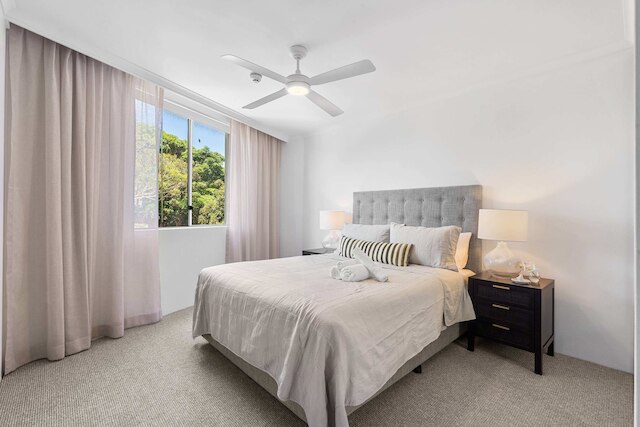 キャンパーダウン コージー コーナー 6