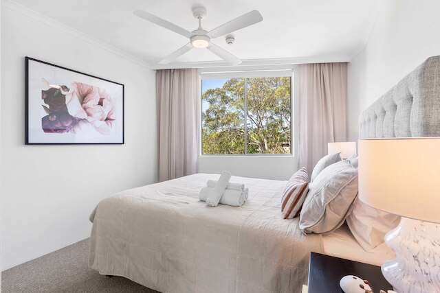 キャンパーダウン コージー コーナー 6