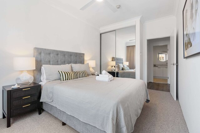 キャンパーダウン コージー コーナー 5